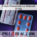 À Quoi Ressemble Le Sildénafil 50 Mg 36